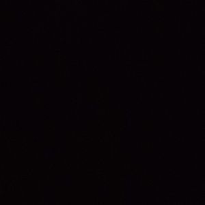 Meet your Posher, Manny